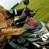 corynepeertopeer - @corynepeertopeer - TikTok