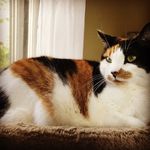 Cory Pender - @corydora8 - Instagram