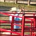 Cory Pennington - Facebook