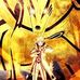 Corey Perdue - Facebook