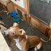 Corey Phipps - Facebook