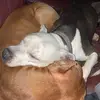 Corey Potts - @corey.potts - TikTok