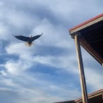 Cory Potts - @potts1019 - Instagram