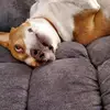 Cory Ramsey - @cram120 - TikTok