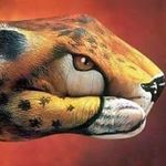 Cory Rock Rock - @rockcoryrock - Instagram