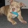 Cory Rowlands - @cory.rowlands5 - TikTok