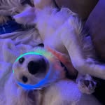 Cory Rucker - @bonzo1221 - Instagram