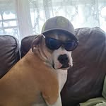 Cory Ryan - @cory.r.adelmann - Instagram