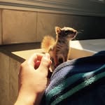 Cory Seymour - @corythesquirrel - Instagram