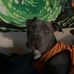 Corey Shipley - Facebook