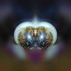 Cory Short - Facebook