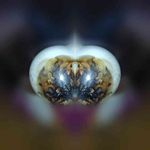 Cory Short - @coryshort00 - Instagram
