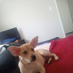 Cory Soto - @1991cjs - Instagram