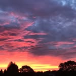 Cory Stanton - @cory.stanton.71 - Instagram