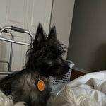 Cory Steeves - @cms528 - Instagram