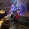 Corey Stock33 - @coreystock335 - TikTok