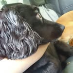 Cory pickstock - @corypickstock - Instagram