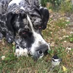 Cory Stock - @jram2578 - Instagram
