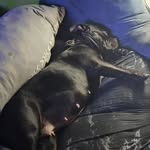 Cory Stouffer Sr - @cstouffersr - Instagram