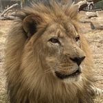 Corey Stringer - @coreylynnstringer - Instagram