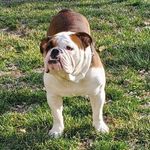 Corey Stringer - @coreystringer56 - Instagram