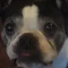 Cory Stuck - @corystuck - TikTok