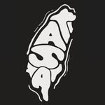 Cornell’s Taiwanese American Students Association (TASA) - @cornelltasa - Instagram