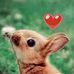 Corey Sugden - Facebook