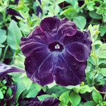 Cory Sugden - @cory_sugden - Instagram