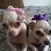 Cory Swain - Facebook