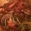 Cory Swain - @cory.swain - TikTok