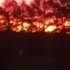 Corey Sweat - @corey.sweat3 - TikTok