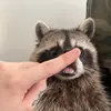 CorySweat - @corysweat2 - TikTok