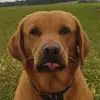 corytalbot4 - @corytalbot4 - TikTok