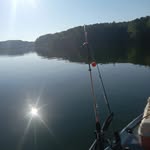 Corey Tidwell - @coreytidwell11 - Instagram