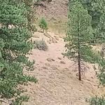 cory tidwell - @nature.curing - Instagram