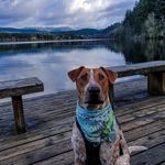 Cory Timm - @dinoguy24 - Instagram