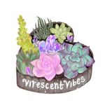 🌿✨Cory✨🌿 - @virescent_vibes - Instagram
