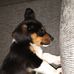 Cory Waggoner - Facebook