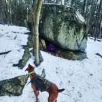 Cory Waite - @corywaiteoutdoors - Instagram