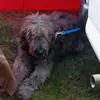 corywalter746 - @corywalter746 - TikTok