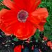 Corinne Warkentin Pruden - Facebook