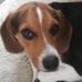 Cory Warner - Facebook