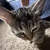 Cory - @corywatt23 - TikTok