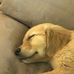 Cory Webb - Facebook