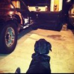 Cory Weidner - @fukurvette - Instagram