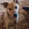 corywelsh722 - @corywelsh722 - TikTok