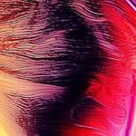 cory weston - @coryweston3 - Instagram