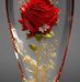 Wiann Khaira - Facebook