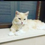 Wilbert Cory - @wilbertcory2 - Instagram